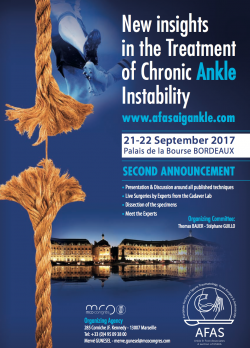 ANKLE INSTABILITY GROUP CONGRESS