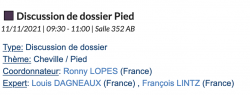 Discussion dossiers pied cheville SOFCOT 2021